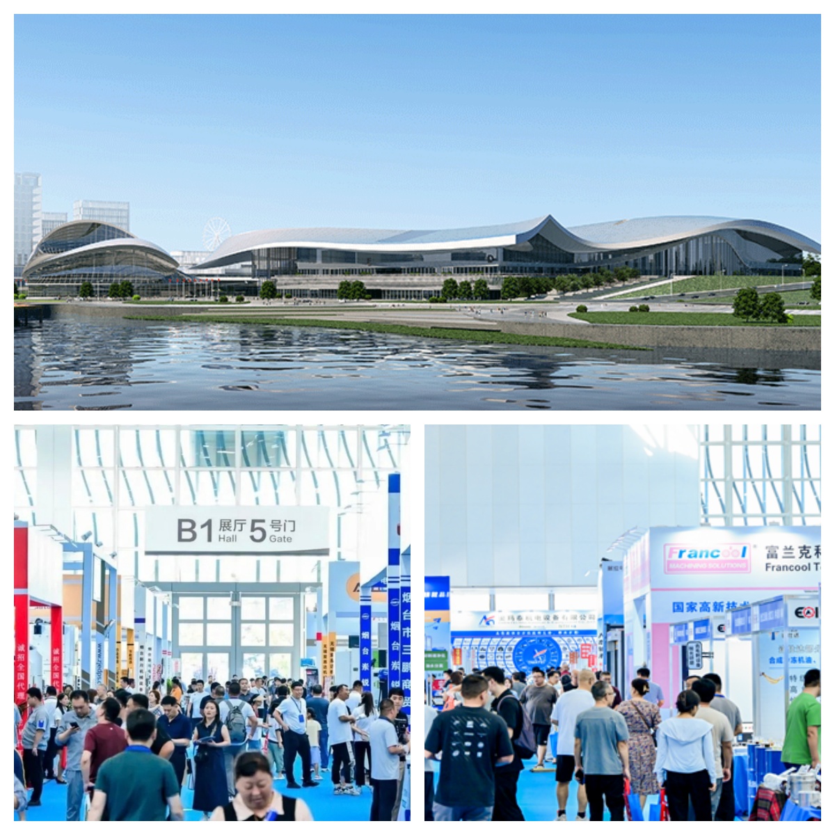 LIONSE Participates in the 2026 Yantai Exhibition